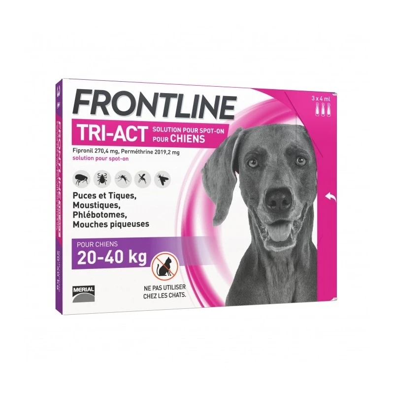 FRONTLINE
