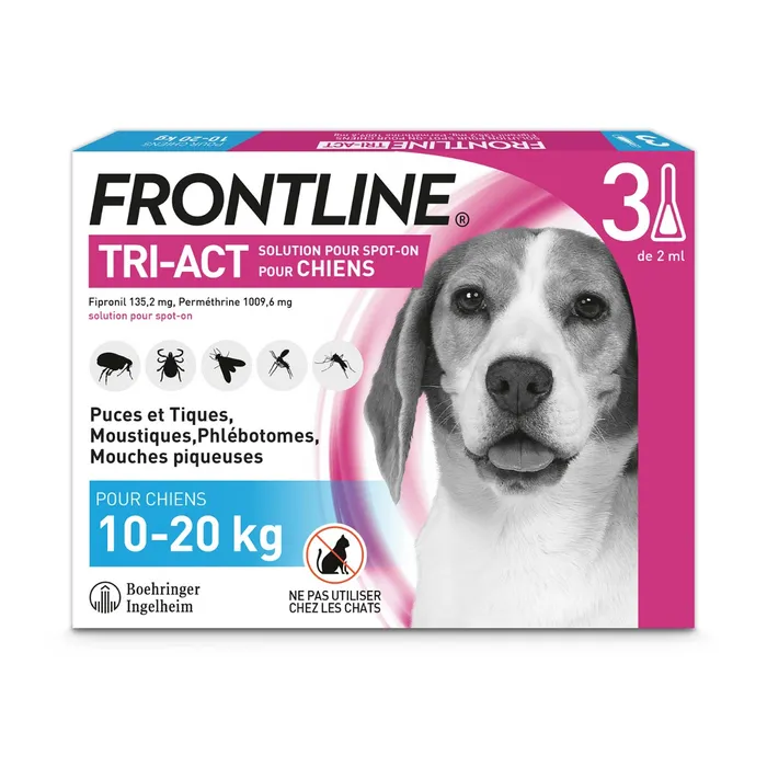 FRONTLINE