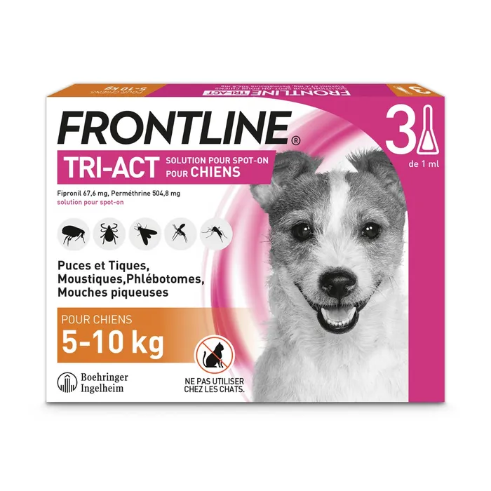 FRONTLINE