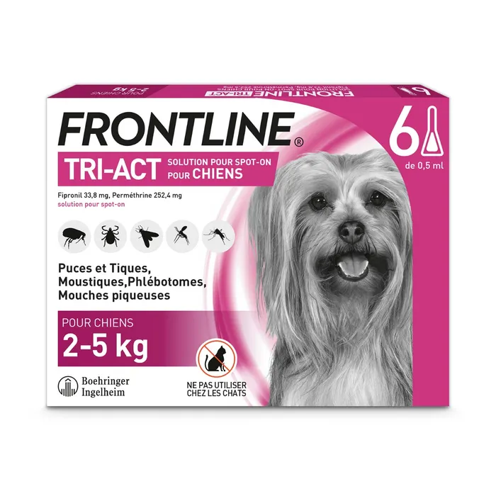 FRONTLINE